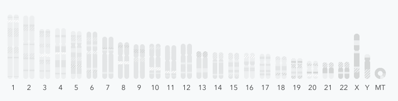 Human chromosomes as displayed in the Browse Raw Data feature