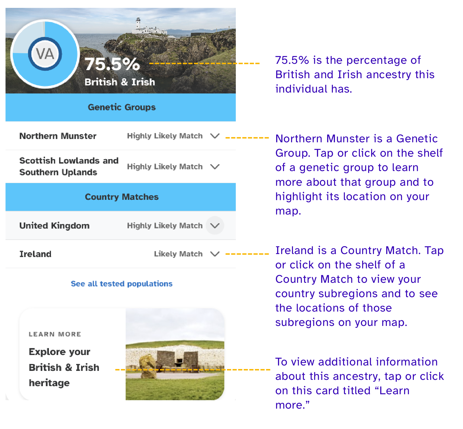 This image shows example results of an individual with 75.5% British & Irish DNA. It shows where you would find a Genetic Group and Country Match in your account.