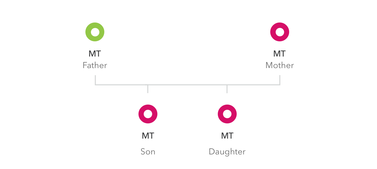 Both a son and daughter will receive mitochondrial DNA solely from their mother