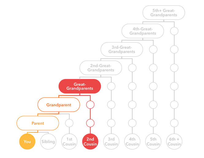 A visualization of the common ancestor between you and a second cousin