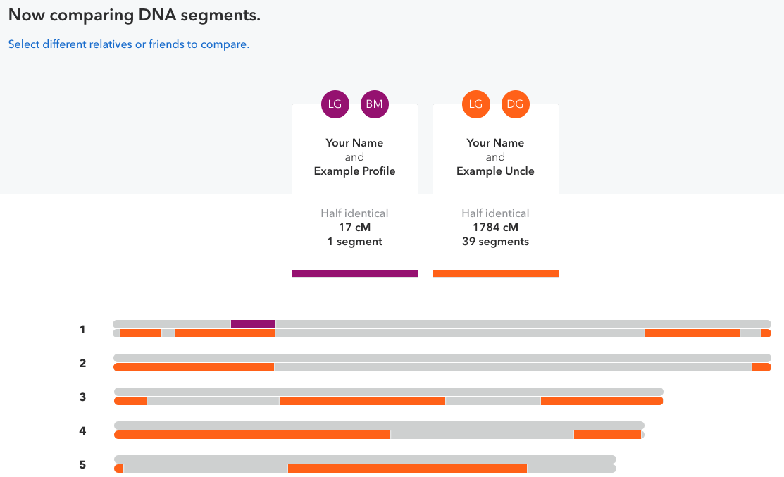 how can i sort my dna matches on ancestry