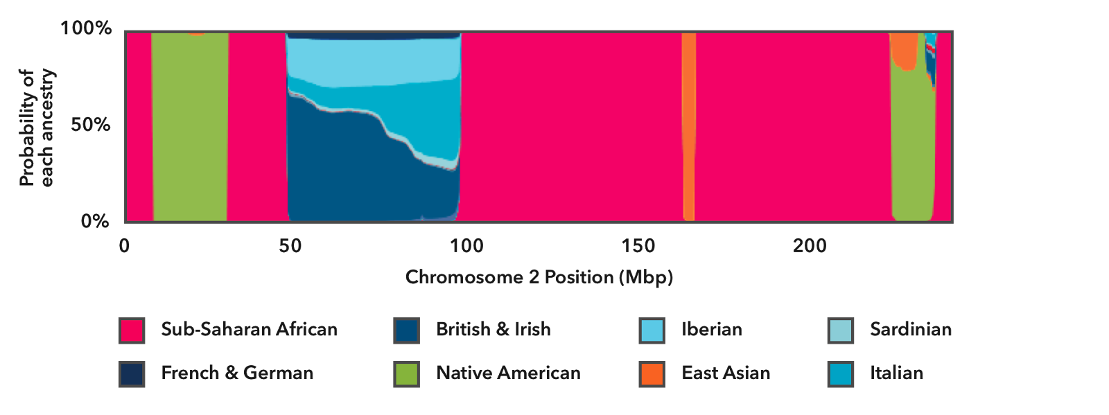 An example of how Smoother helps estimate the probability that an Ancestry Composition result matches the DNA